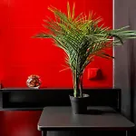 Fulvia L'amour Delirium - * בוקרשט